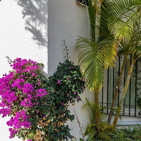 Casablanca 46 Oasis Properties Nerja Luaran gambar