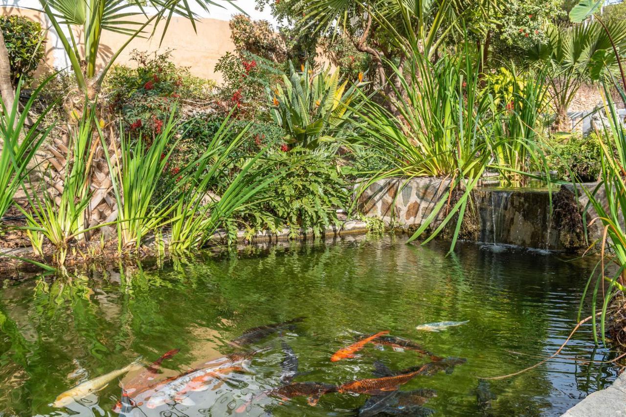 Casablanca 46 Oasis Properties Nerja Luaran gambar