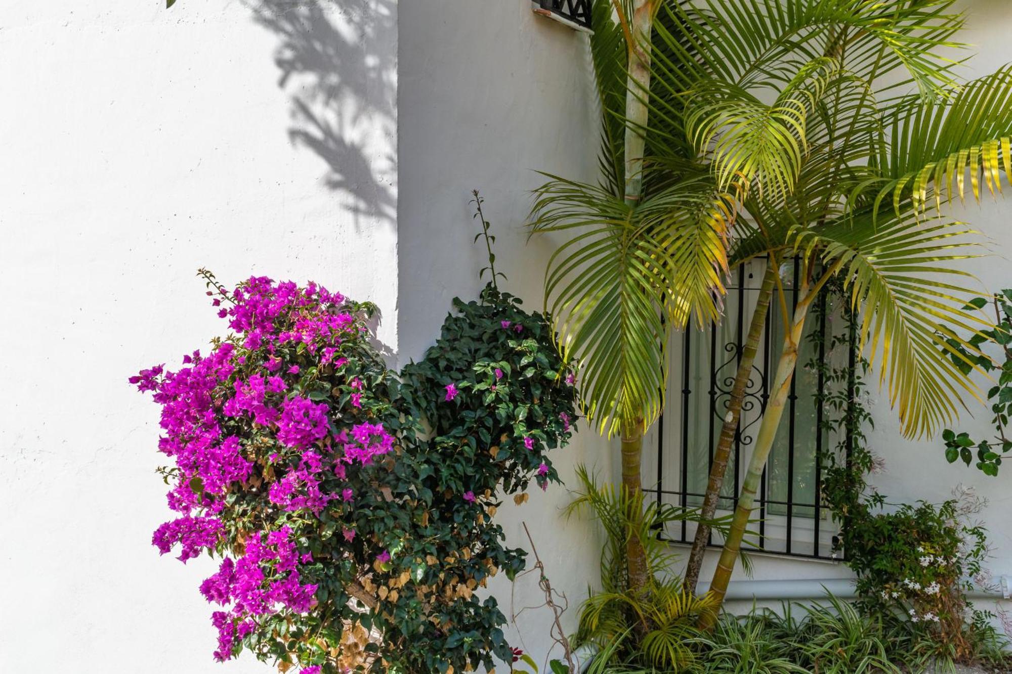 Casablanca 46 Oasis Properties Nerja Luaran gambar