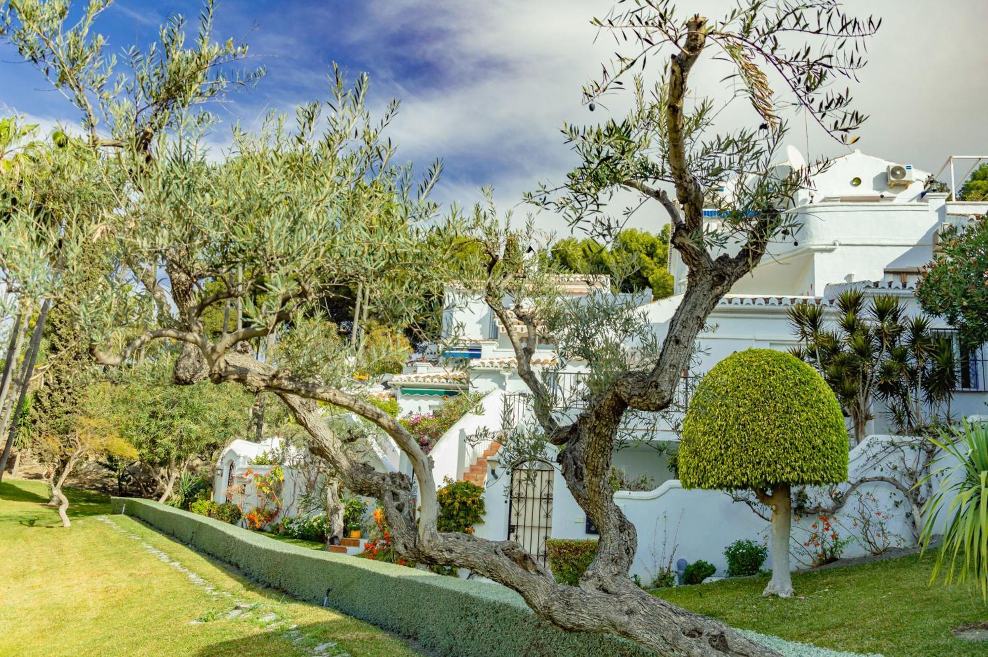 Casablanca 46 Oasis Properties Nerja Luaran gambar